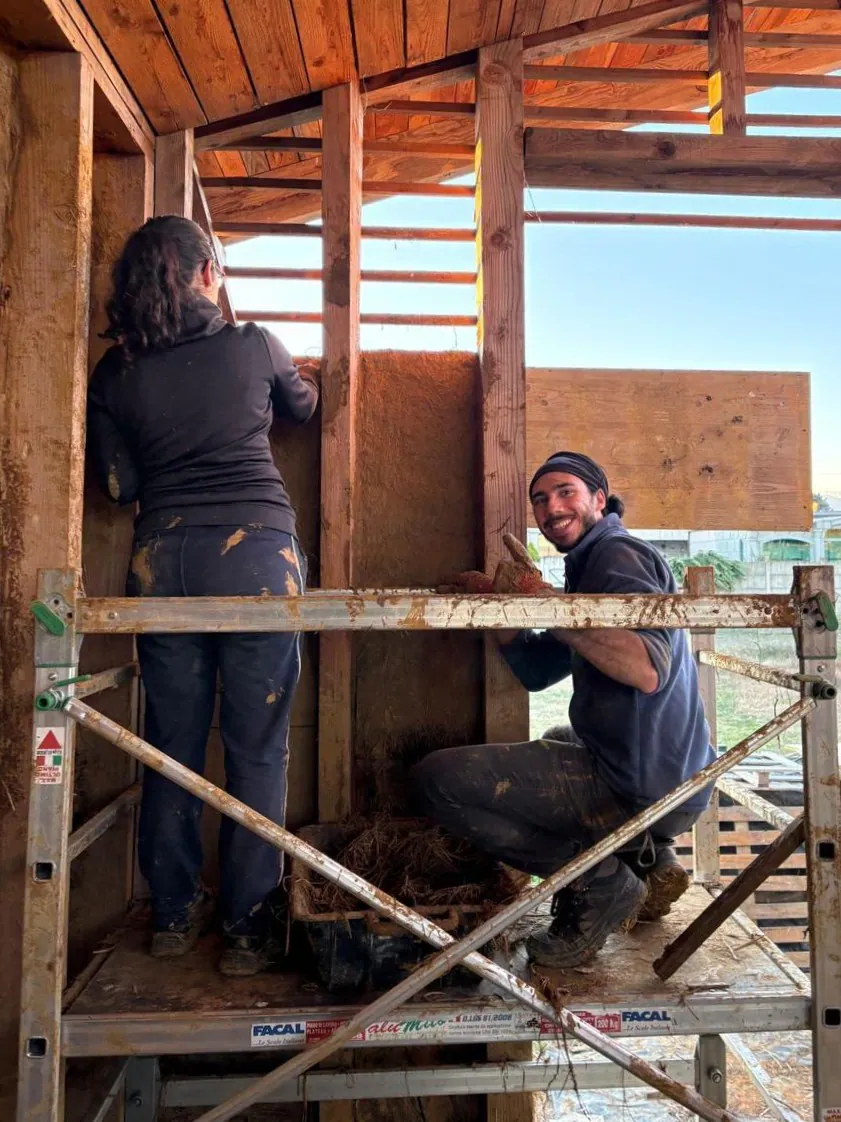 Dos personas sobre un andamio construyendo un muro interior de la casa, con estructura de madera a la vista.